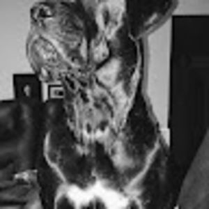 Meet your Posher, Savannaha